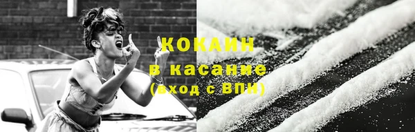 гашик Дмитров