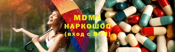 гашик Дмитров