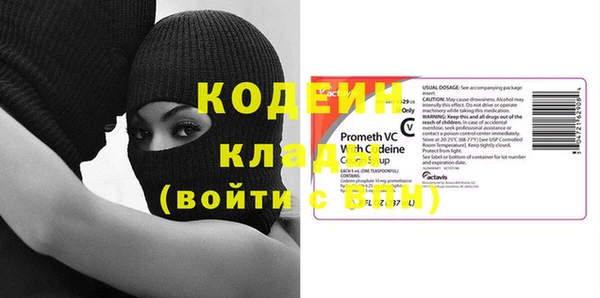 гашик Дмитров