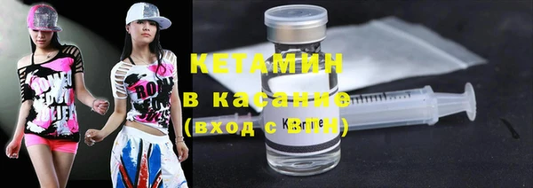 сатива Дмитриев