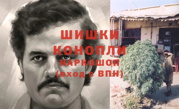 гашик Дмитров