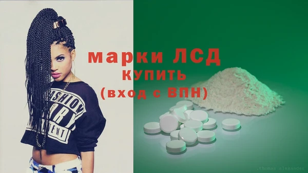 гашик Дмитров