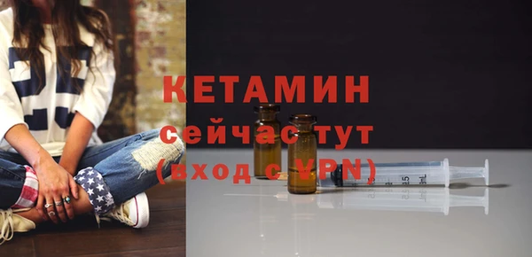 гашик Дмитров