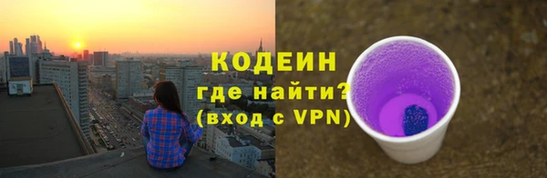 сатива Дмитриев
