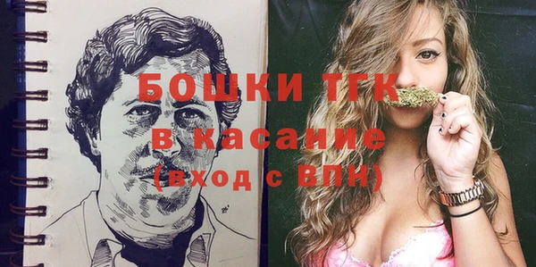 гашик Дмитров