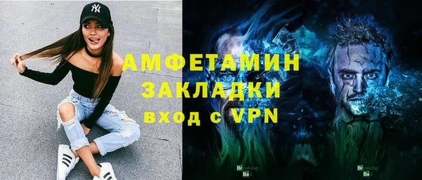 гашик Дмитров