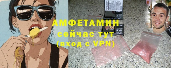 сатива Дмитриев