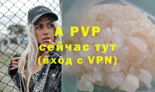 сатива Дмитриев