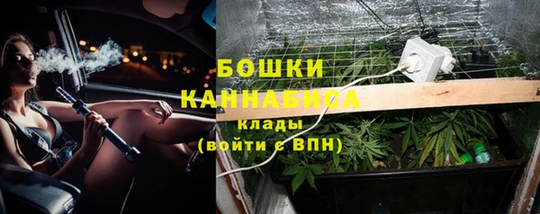 сатива Дмитриев