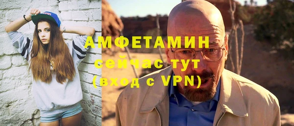сатива Дмитриев