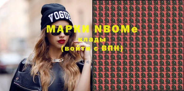 гашик Дмитров