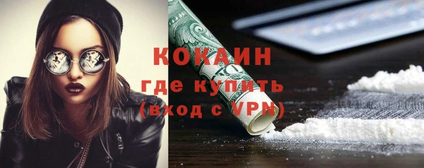 сатива Дмитриев