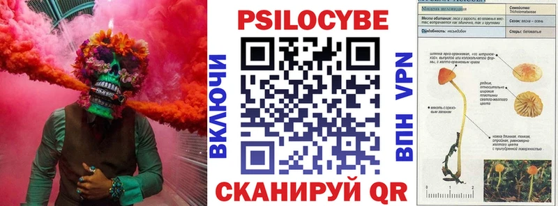Купить  Малоярославец  Псилоцибиновые грибы GOLDEN TEACHER 